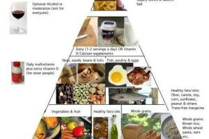 Nutrition Pyramid_India UK collaborate to fight malnutrition