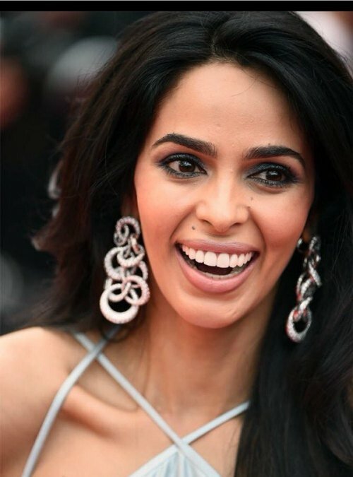 Mallika Sherawat dazzles in silver at Cannes 2016 red carpet