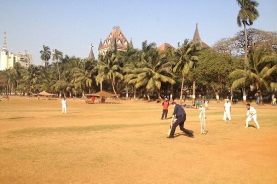 Cameron enjoying a game of cricket amid his hectic schedule in India